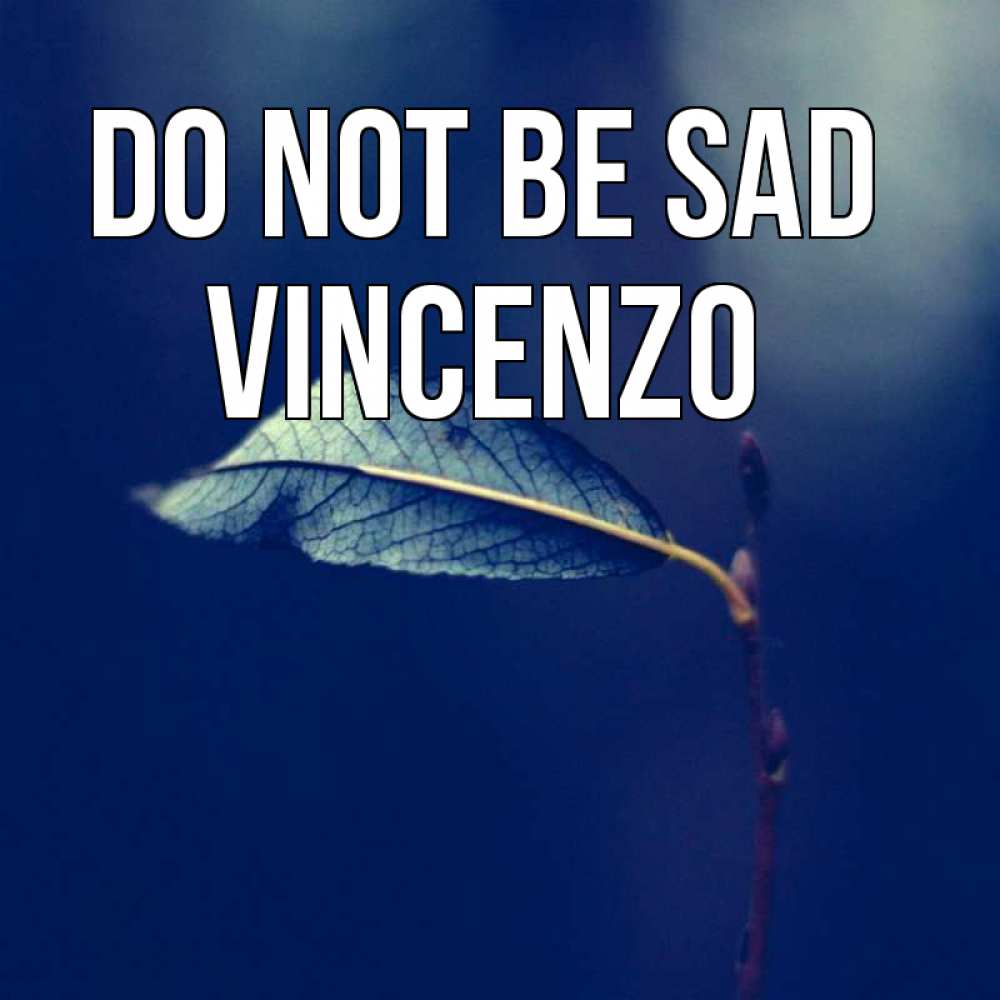 Greetings card с именем, Vincenzo Do not be sad растение Greetings with text for free download 