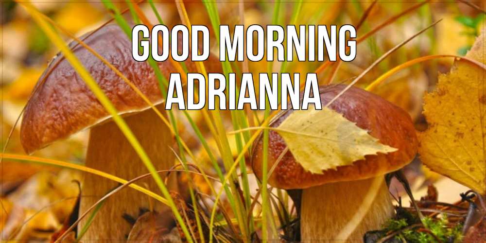 Greetings card с именем, Adrianna Good morning осенние грибы Greetings with text for free download 