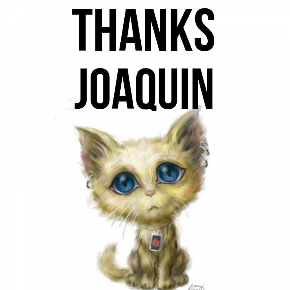 Greetings card с именем, Joaquin Thanks рисованный кот благодарит вас Greetings with text for free download 