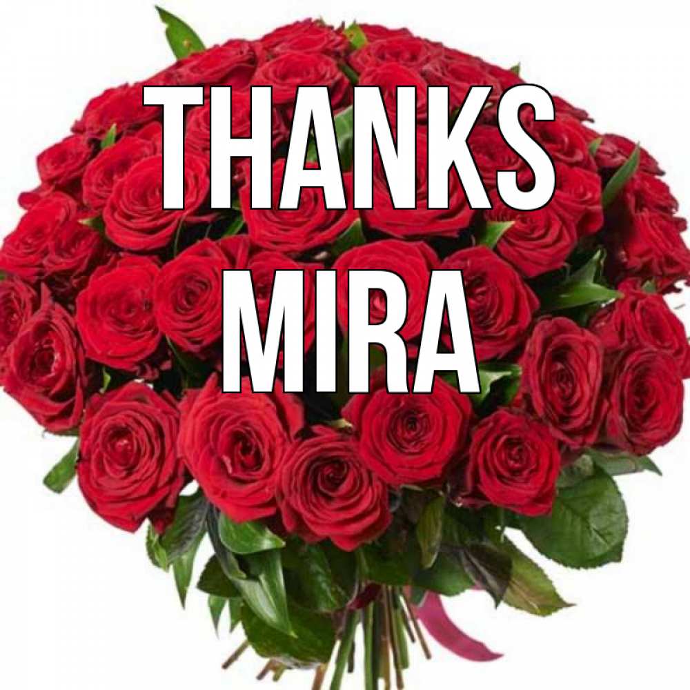 Greetings card с именем, Mira Thanks букет красных роз Greetings with text for free download 