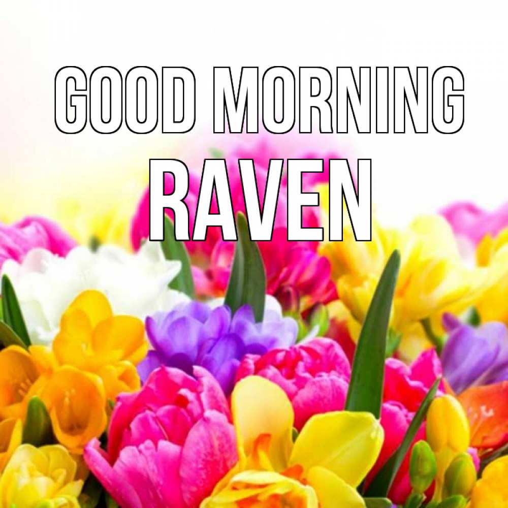 Greetings card с именем, Raven Good morning создать открытку со свое подписью Greetings with text for free download 