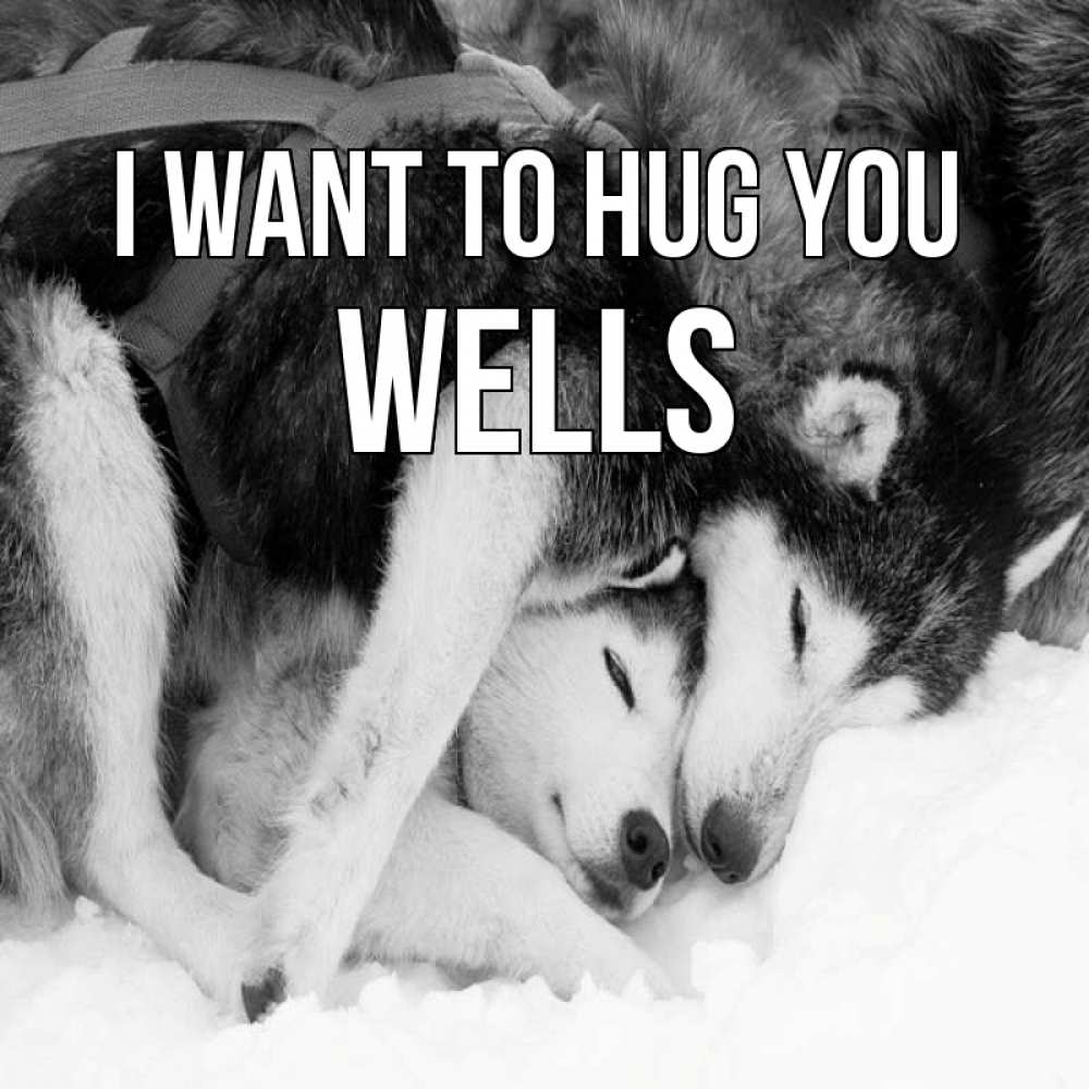 Greetings card с именем, Wells I want to hug you собачки в упряжке Greetings with text for free download 