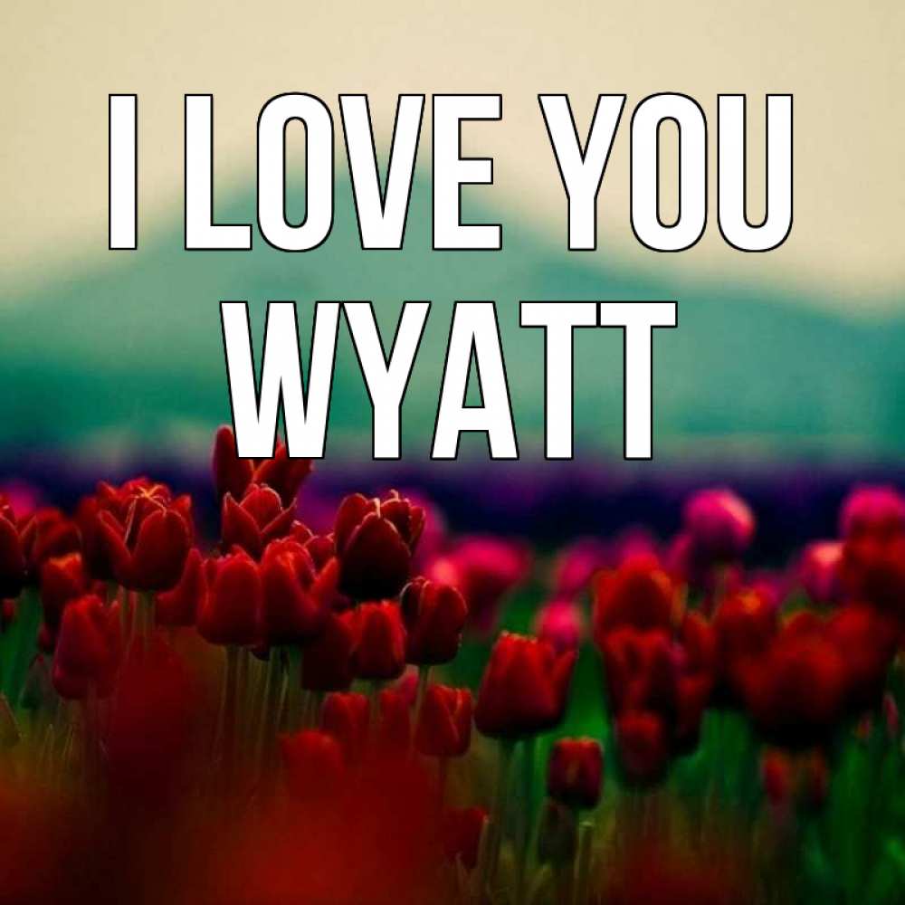 Greetings card с именем, Wyatt I love you тюльпаны 4 Greetings with text for free download 