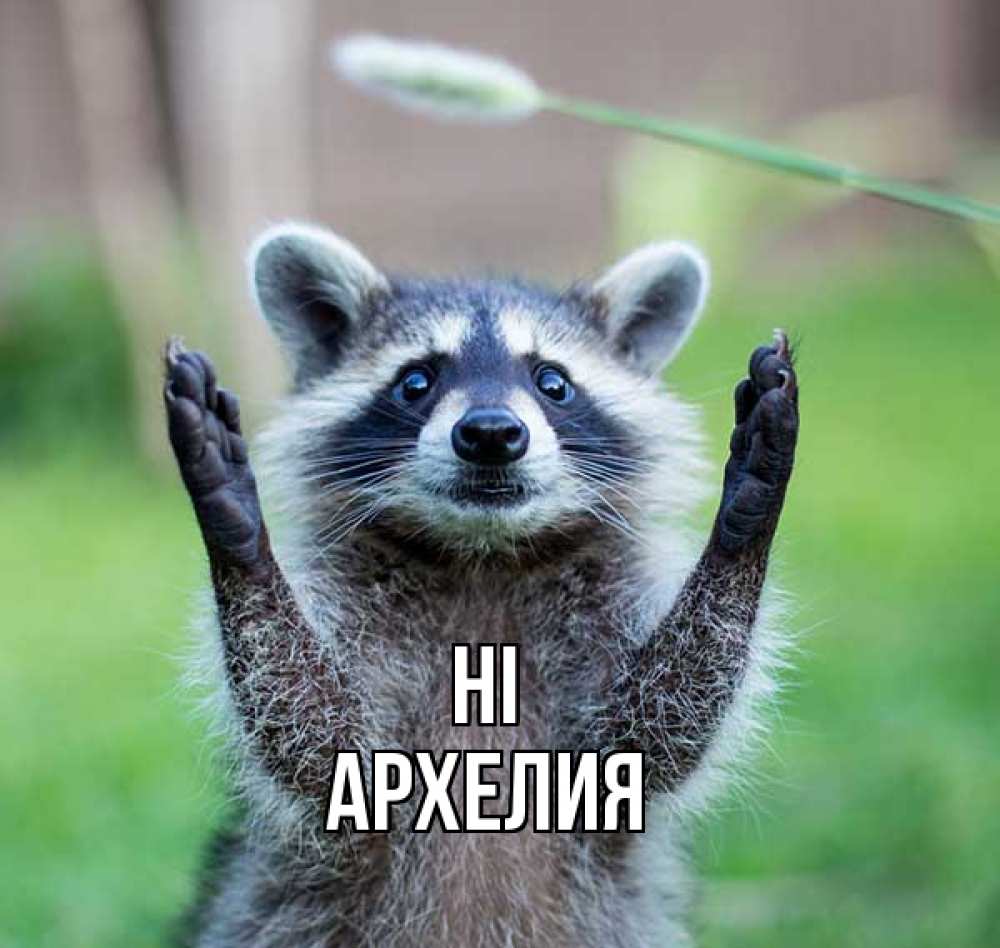 Greetings card с именем, Архелия Hi животные Greetings with text for free download 
