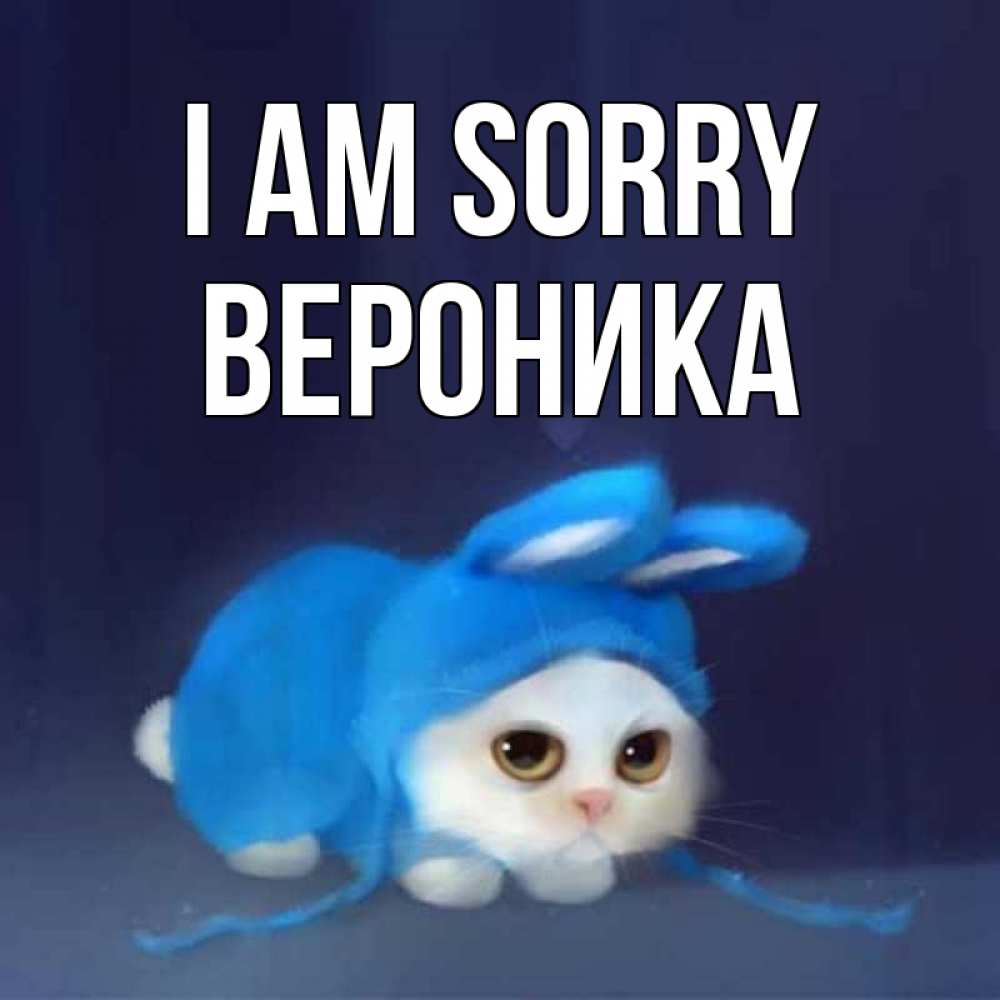 Greetings card с именем, Вероника I am sorry невинный котозай просит прощения Greetings with text for free download 