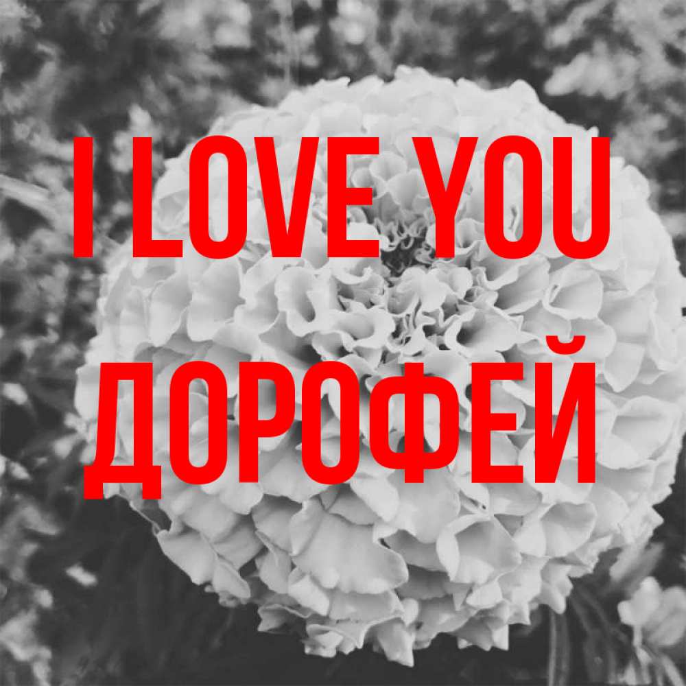Greetings card с именем, Дорофей I love you подпись Greetings with text for free download 
