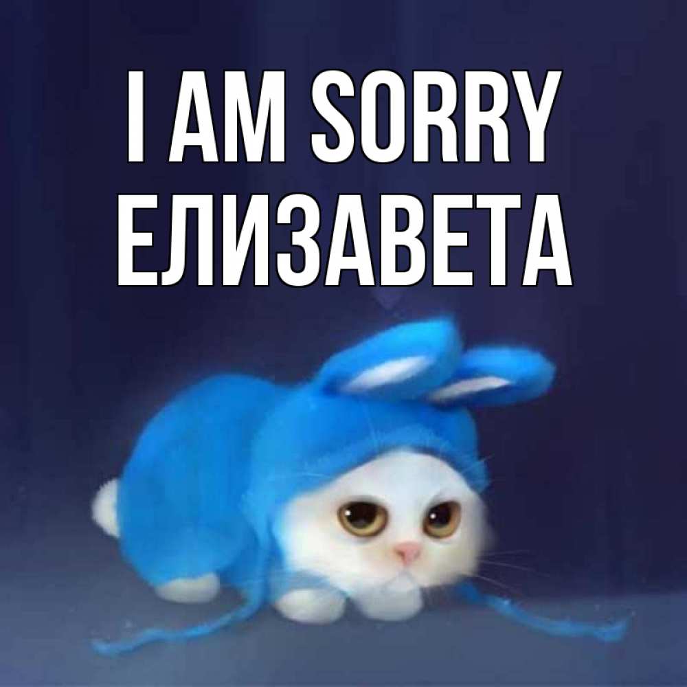 Greetings card с именем, Елизавета I am sorry невинный котозай просит прощения Greetings with text for free download 