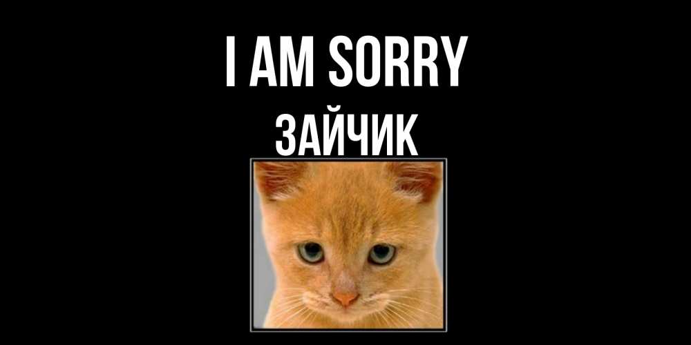 Greetings card с именем, Зайчик I am sorry рыжий грустный кот просит прощения Greetings with text for free download 