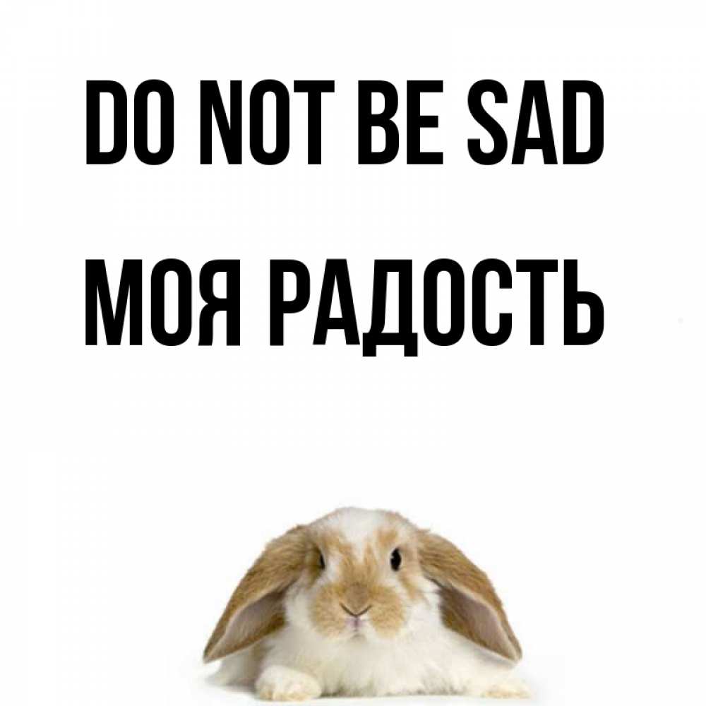 Greetings card с именем, Моя-радость Do not be sad коричнево белый заяц с большими ушками Greetings with text for free download 