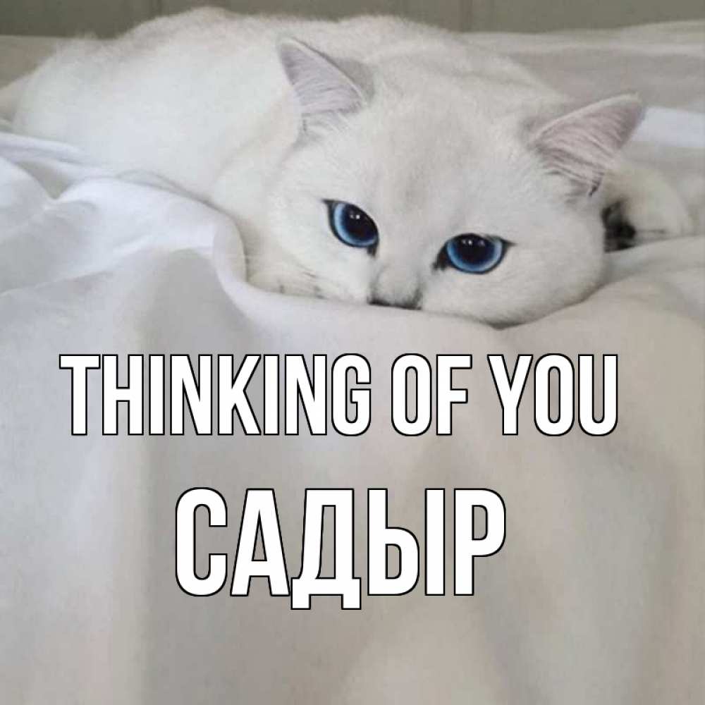 Greetings card с именем, САДЫР Thinking of you я очень по тебе скучаю и тоскую Greetings with text for free download 