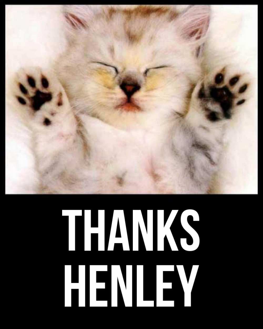 Greetings card с именем, Henley Thanks маленький котенок Greetings with text for free download 