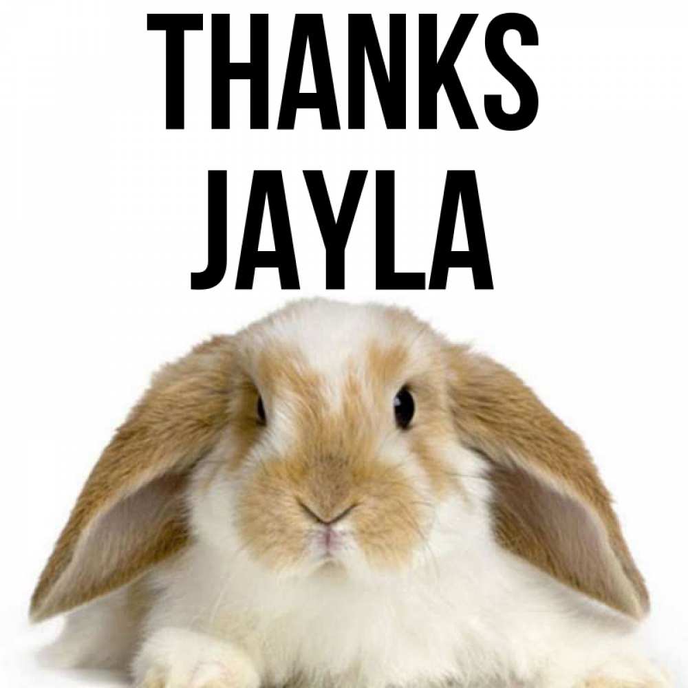 Greetings card с именем, Jayla Thanks коричнево белый заяц Greetings with text for free download 