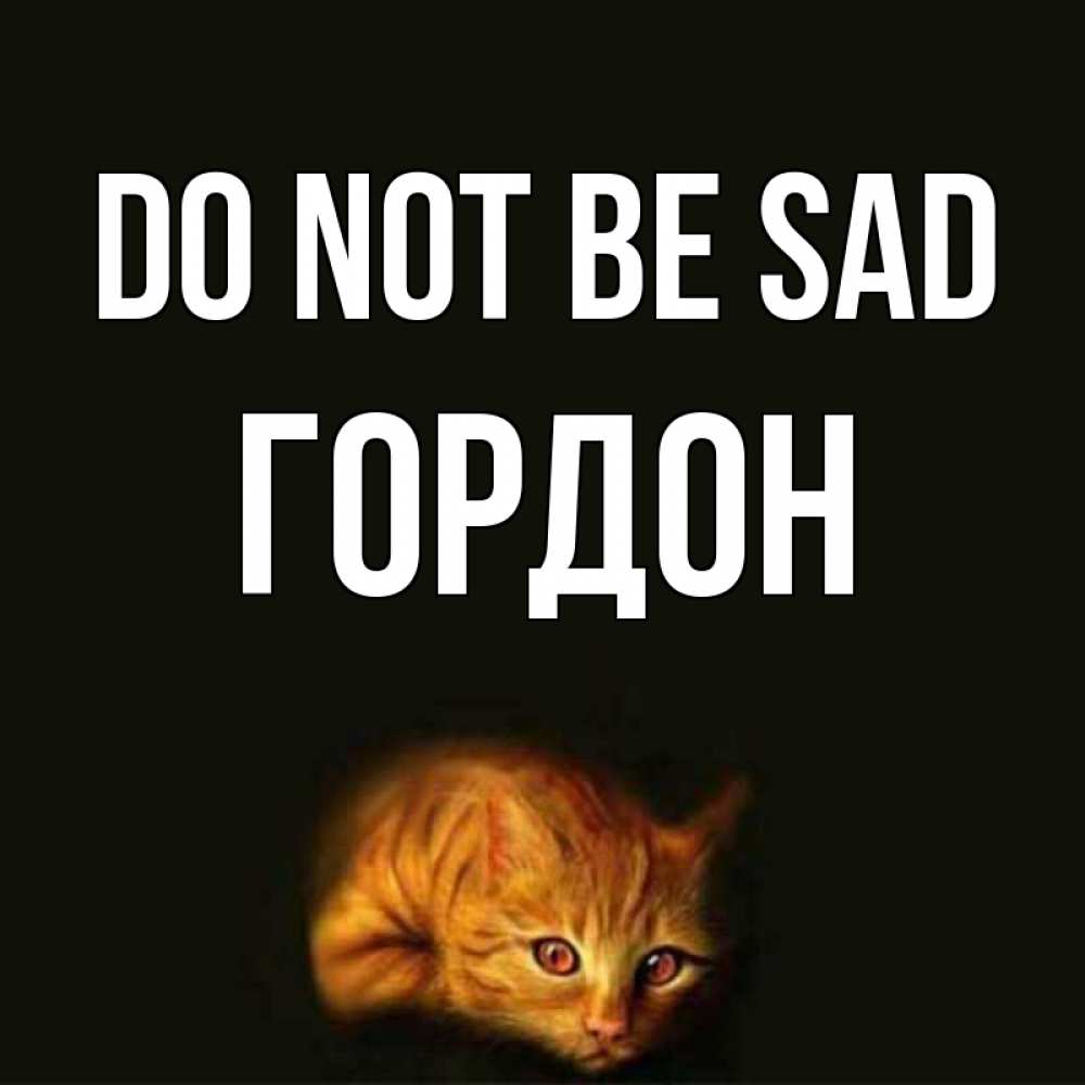 Greetings card с именем, Гордон Do not be sad лежащий кот в темноте Greetings with text for free download 