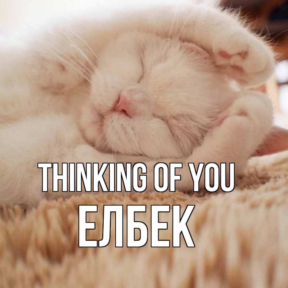 Greetings card с именем, Елбек Thinking of you для любимой девушки милота Greetings with text for free download 