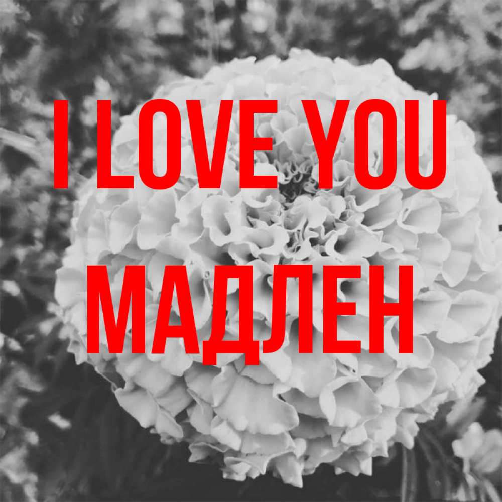 Greetings card с именем, Мадлен I love you подпись Greetings with text for free download 