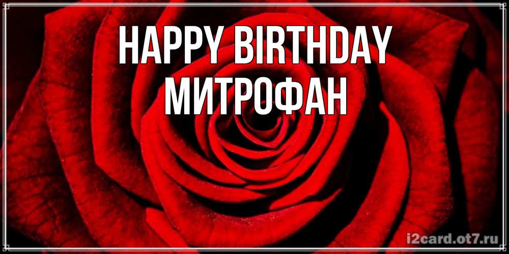Greetings card с именем, Митрофан Happy Birthday алая роза Greetings with text for free download 