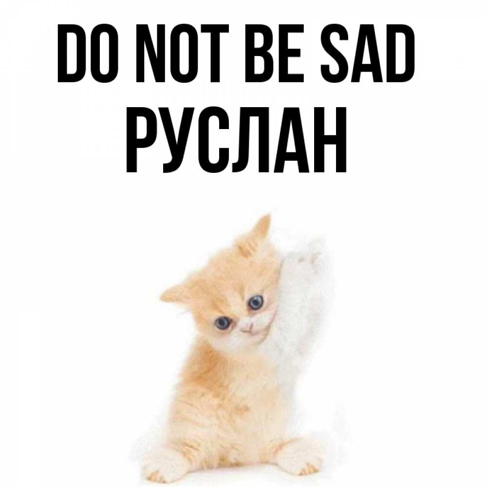 Greetings card с именем, РУСЛАН Do not be sad просящий кот Greetings with text for free download 