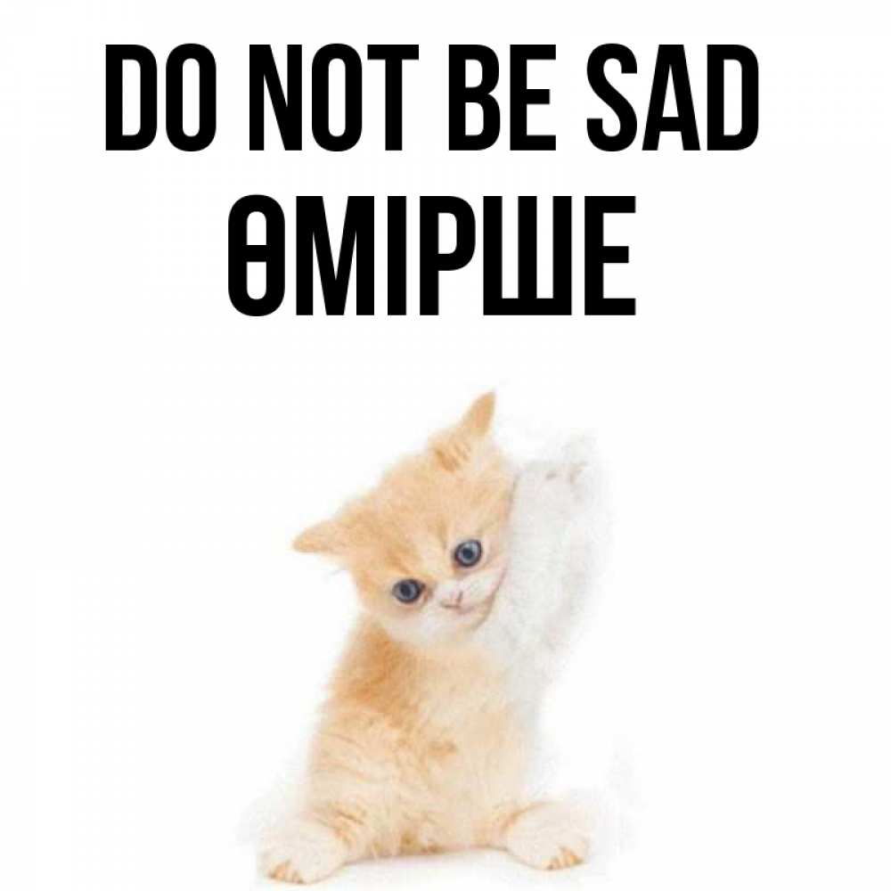 Greetings card с именем, ӨМІРШЕ Do not be sad просящий кот Greetings with text for free download 
