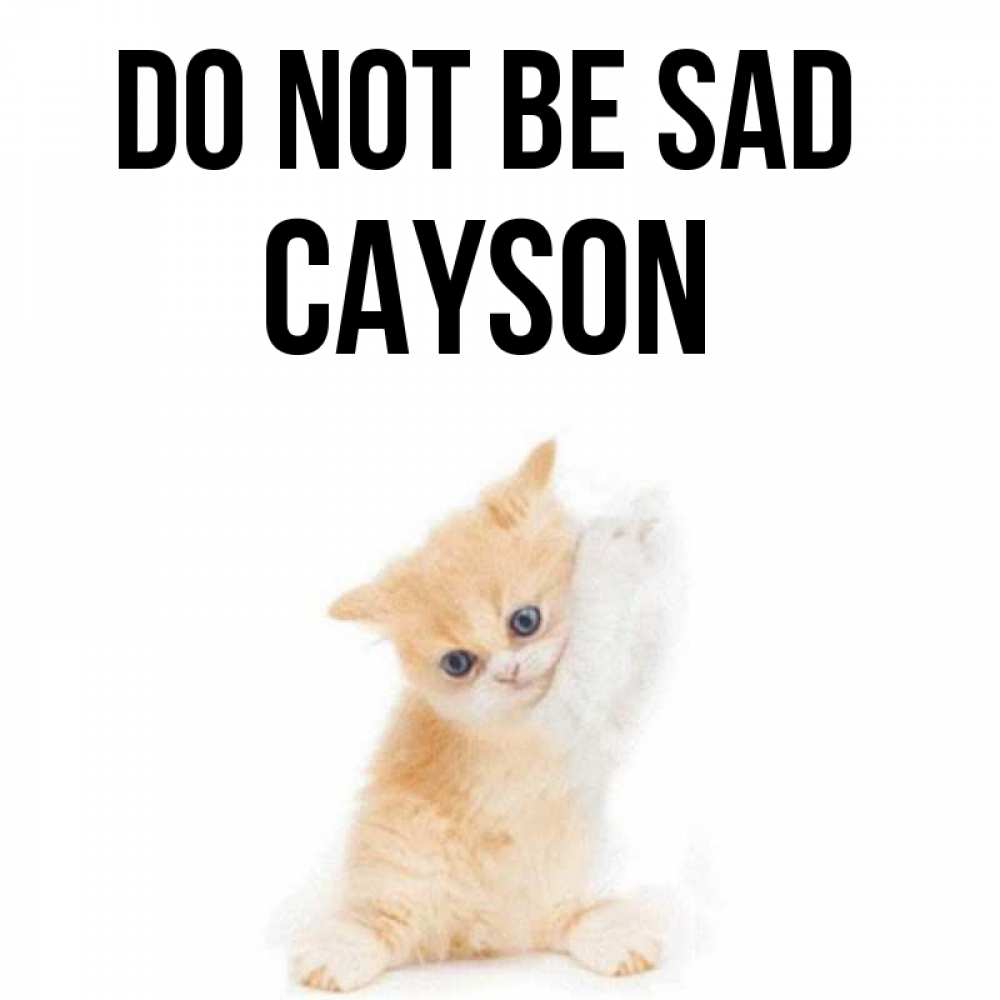 Greetings card с именем, Cayson Do not be sad просящий кот Greetings with text for free download 