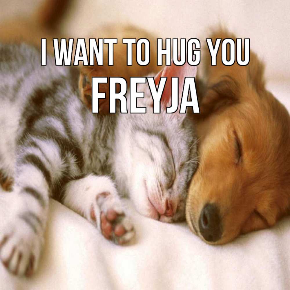 Greetings card с именем, Freyja I want to hug you пес и котенок Greetings with text for free download 