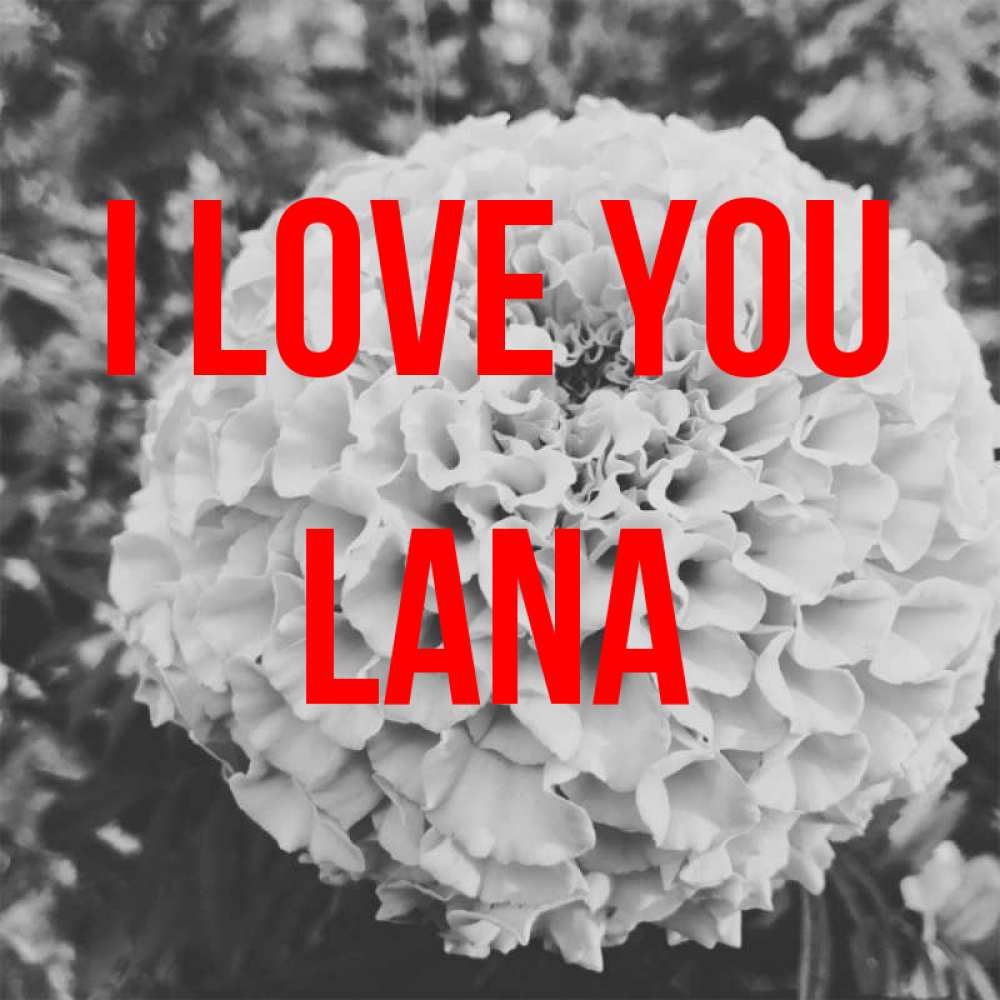 Greetings card с именем, Lana I love you подпись Greetings with text for free download 