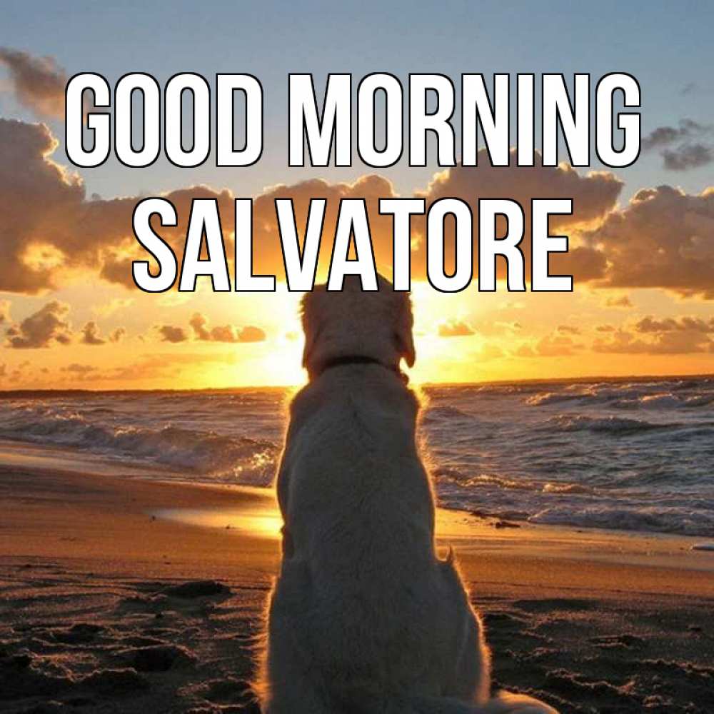 Greetings card с именем, Salvatore Good morning восход солнца Greetings with text for free download 