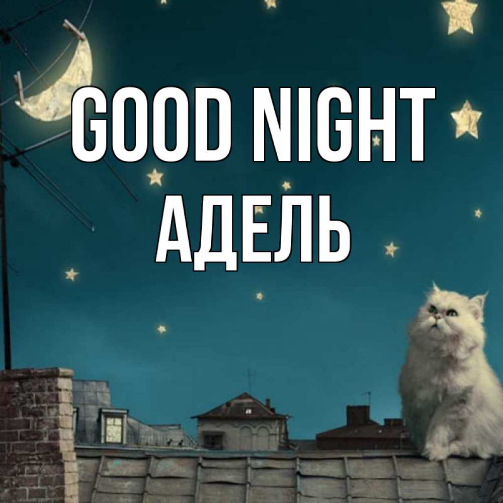 Greetings card с именем, Адель Good night белый кот сидит на крыше Greetings with text for free download 