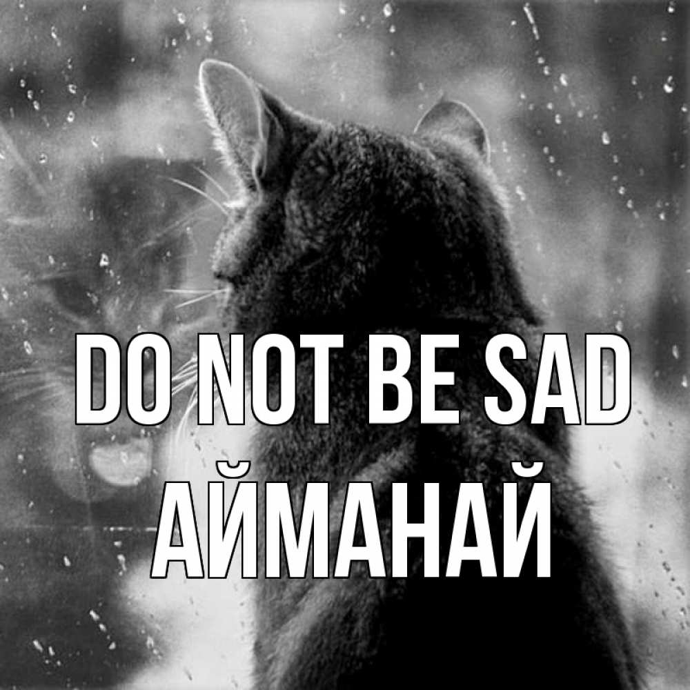 Greetings card с именем, Айманай Do not be sad отражение кота 1 Greetings with text for free download 