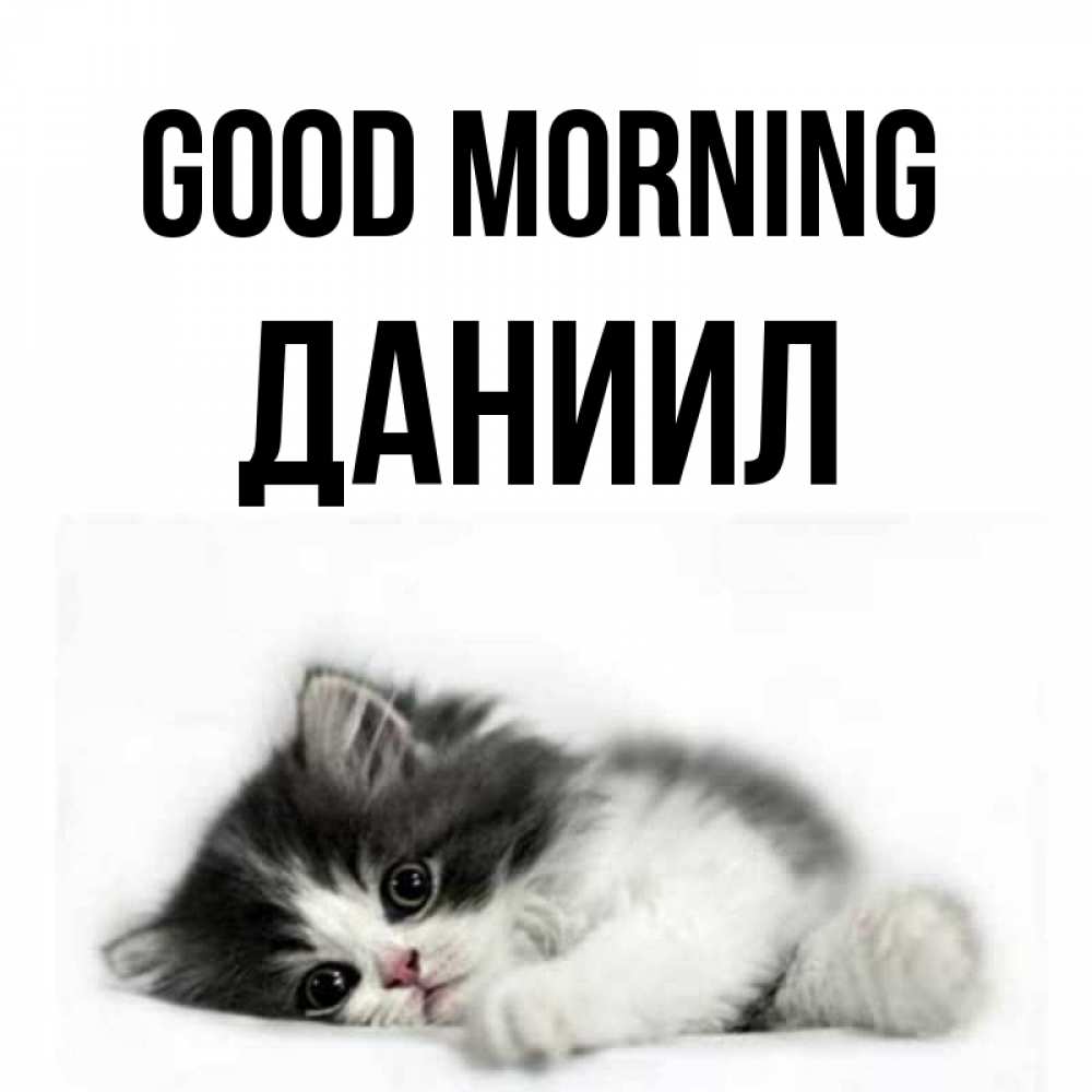 Greetings card с именем, Даниил Good morning кот лапки Greetings with text for free download 