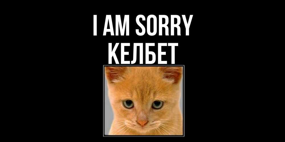 Greetings card с именем, КЕЛБЕТ I am sorry рыжий грустный кот просит прощения Greetings with text for free download 