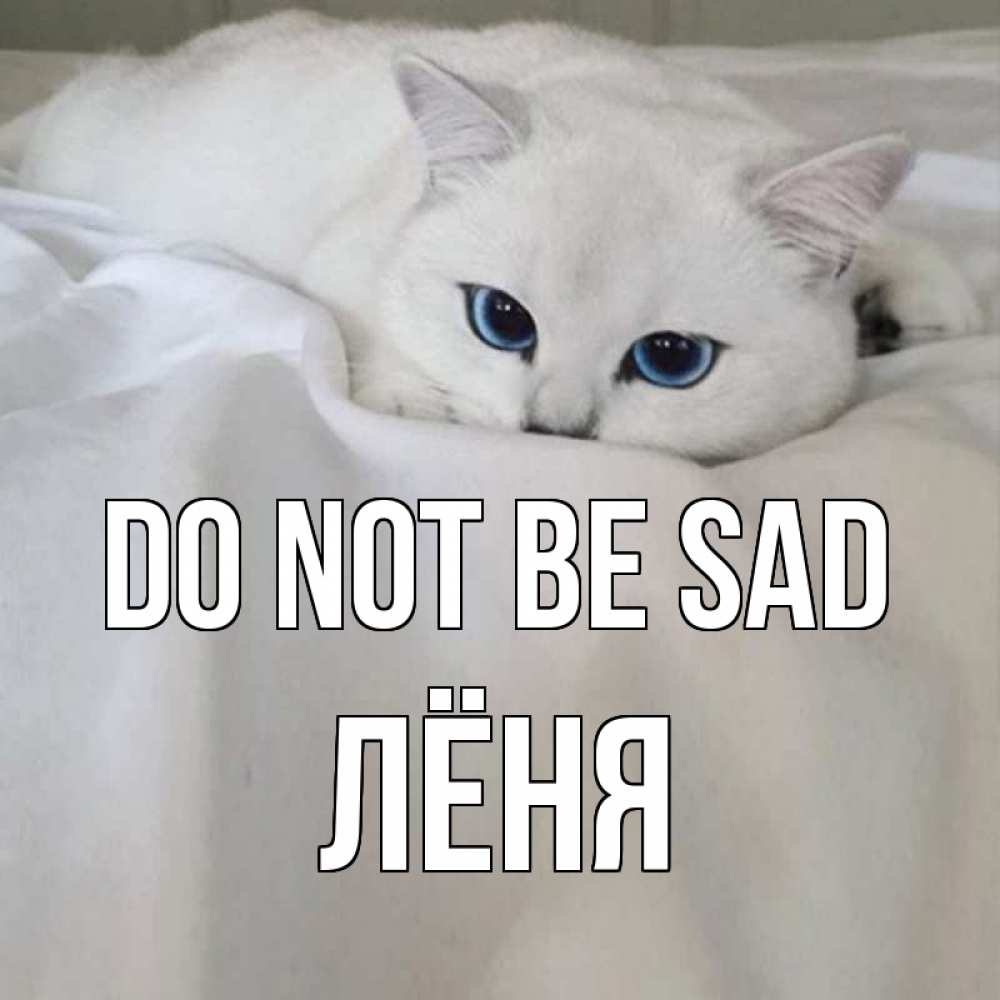 Greetings card с именем, Лёня Do not be sad белый кот с голубыми глазами на белоснежной кровати Greetings with text for free download 