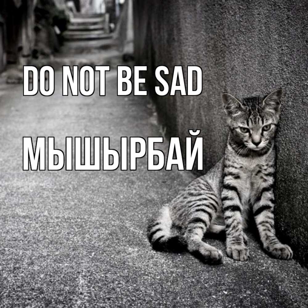 Greetings card с именем, МЫШЫРБАЙ Do not be sad скучающий котик Greetings with text for free download 