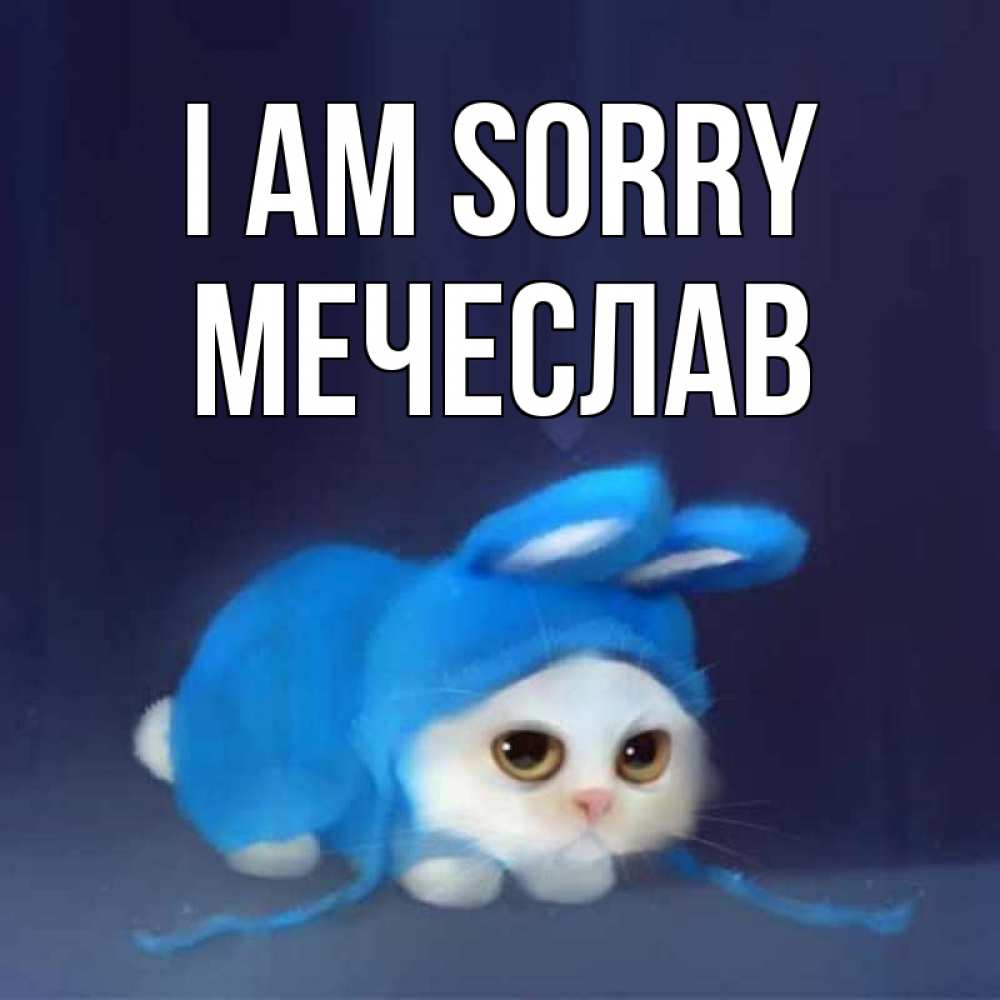 Greetings card с именем, Мечеслав I am sorry невинный котозай просит прощения Greetings with text for free download 