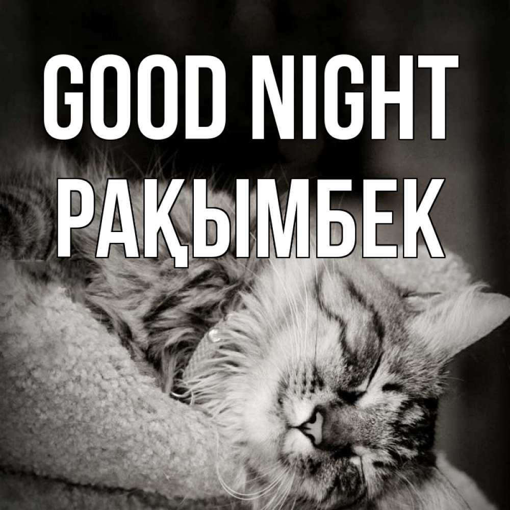 Greetings card с именем, Рақымбек Good night котярик пушистый Greetings with text for free download 