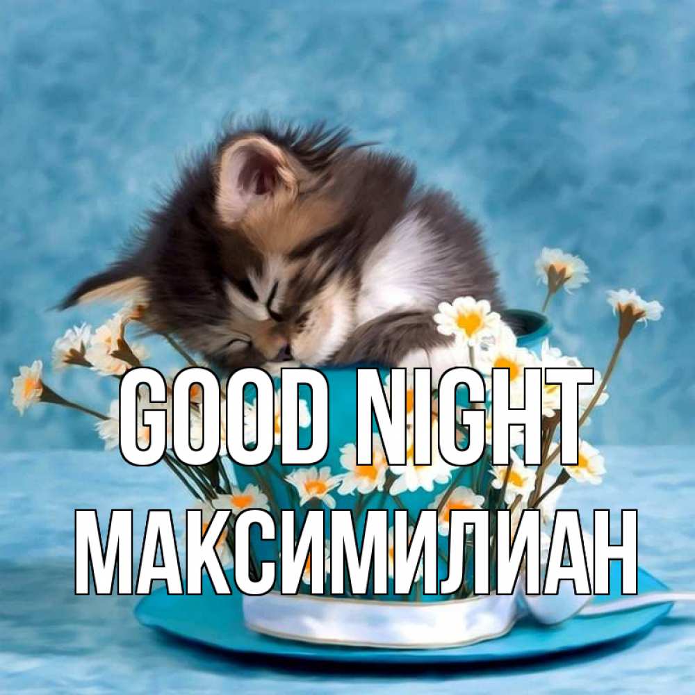 Greetings card с именем, Максимилиан Good night котенок спит в кружке с блюдцем Greetings with text for free download 