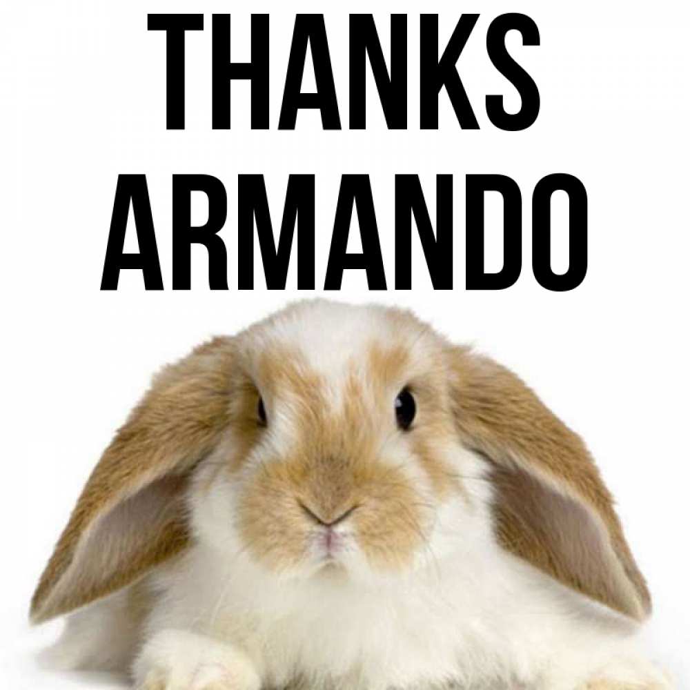 Greetings card с именем, Armando Thanks коричнево белый заяц Greetings with text for free download 