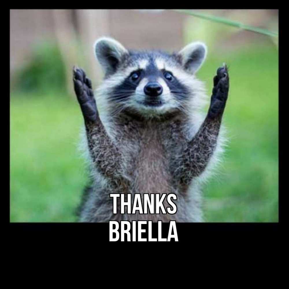 Greetings card с именем, Briella Thanks милые животные Greetings with text for free download 