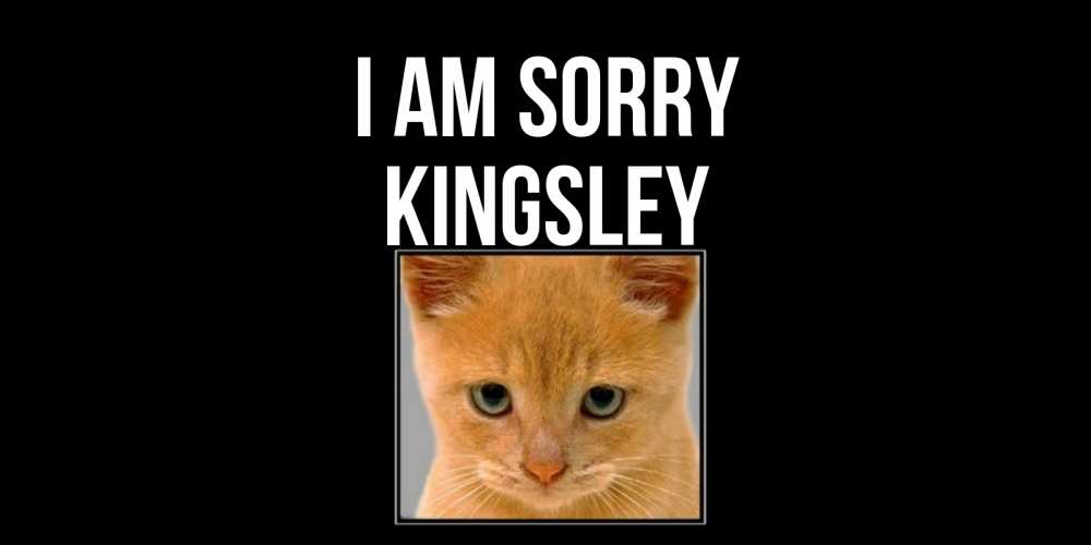 Greetings card с именем, Kingsley I am sorry рыжий грустный кот просит прощения Greetings with text for free download 
