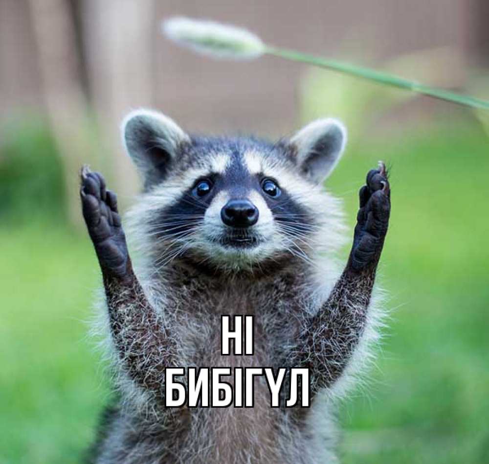 Greetings card с именем, БИБІГҮЛ Hi животные Greetings with text for free download 