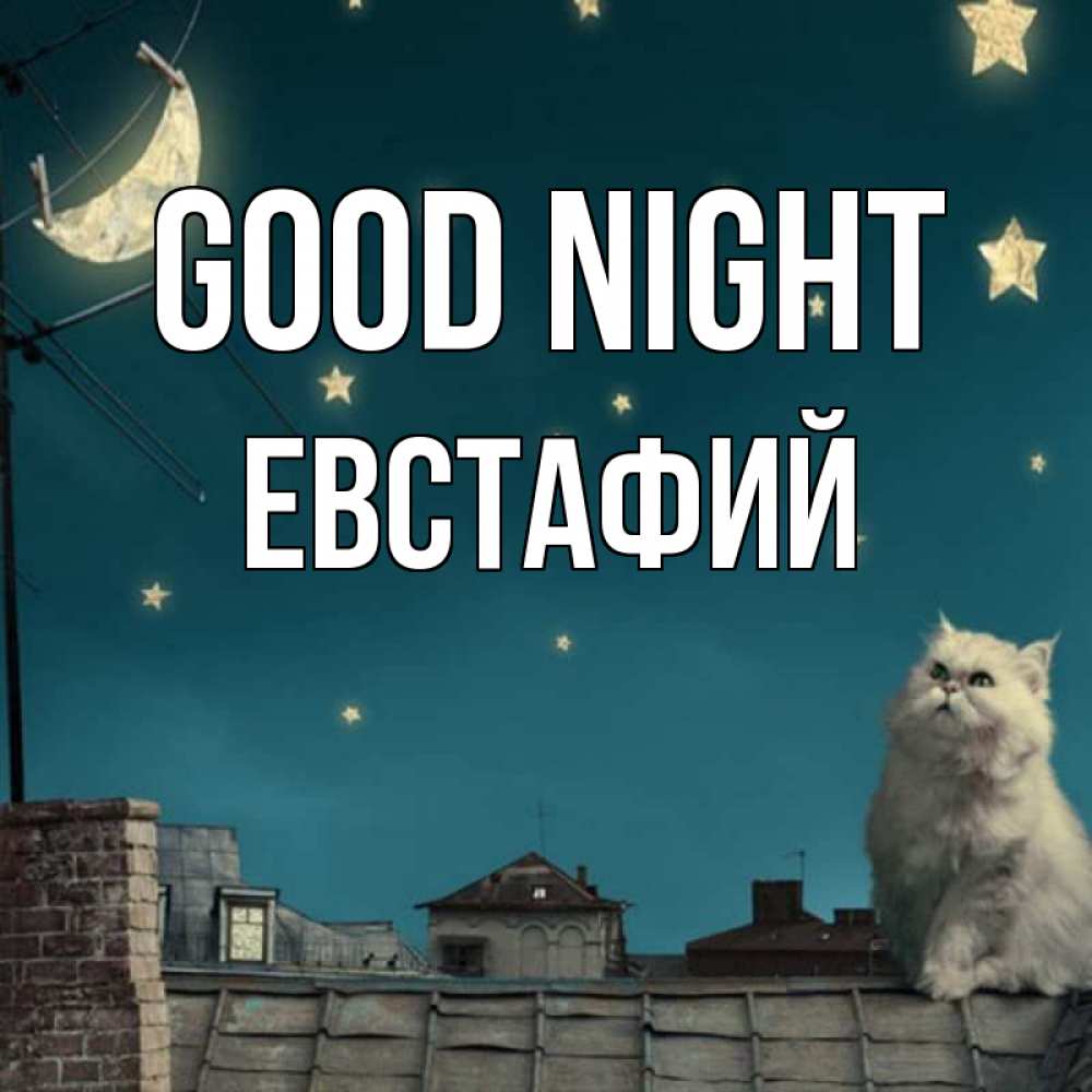 Greetings card с именем, Евстафий Good night белый кот сидит на крыше Greetings with text for free download 