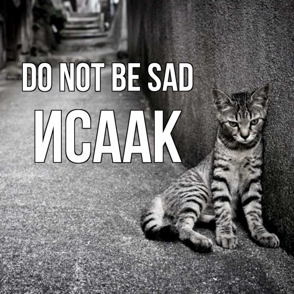 Greetings card с именем, Исаак Do not be sad скучающий котик Greetings with text for free download 