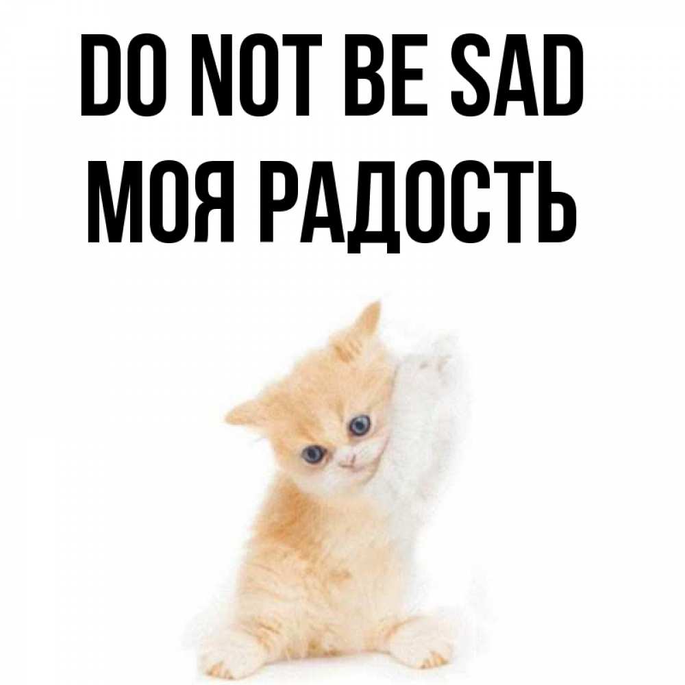 Greetings card с именем, Моя-радость Do not be sad просящий кот Greetings with text for free download 