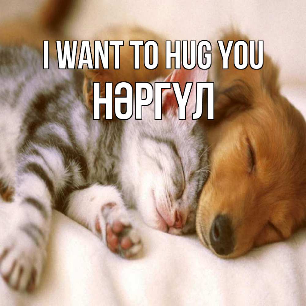 Greetings card с именем, НӘРГҮЛ I want to hug you пес и котенок Greetings with text for free download 