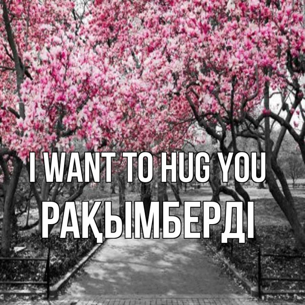 Greetings card с именем, Рақымберді I want to hug you обработанное фото Greetings with text for free download 