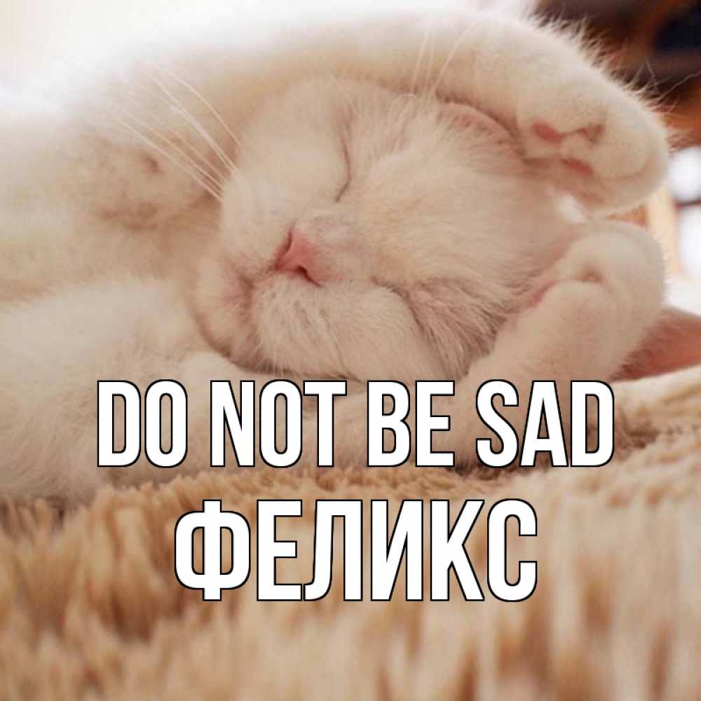 Greetings card с именем, Феликс Do not be sad белый кот Greetings with text for free download 