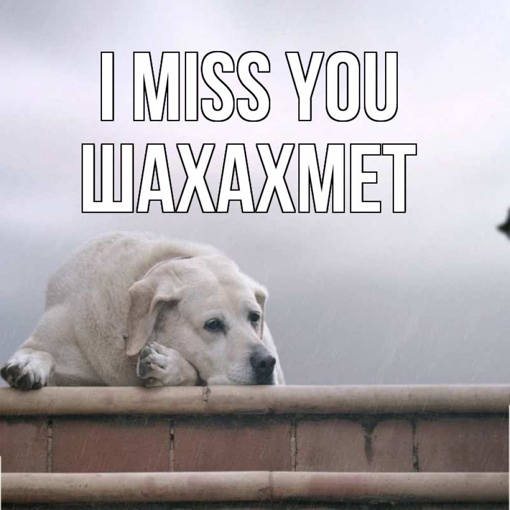 Greetings card с именем, ШАХАХМЕТ I miss you ждет Greetings with text for free download 