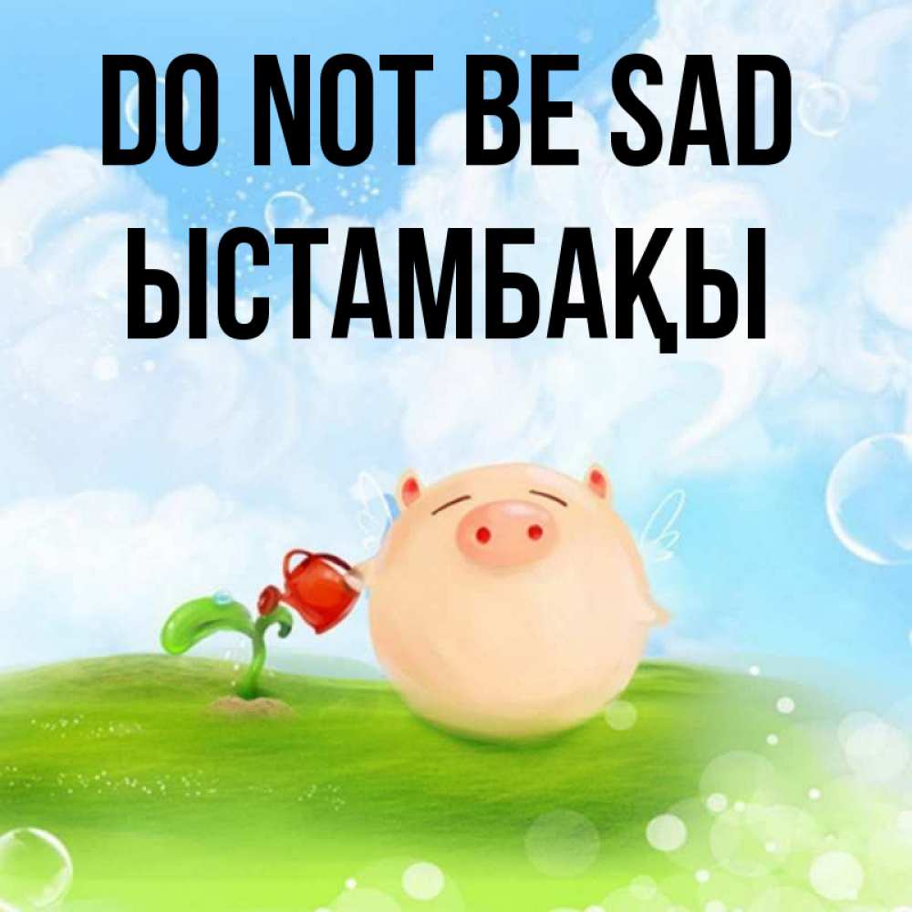 Greetings card с именем, ЫСТАМБАҚЫ Do not be sad поливает цветок порося Greetings with text for free download 