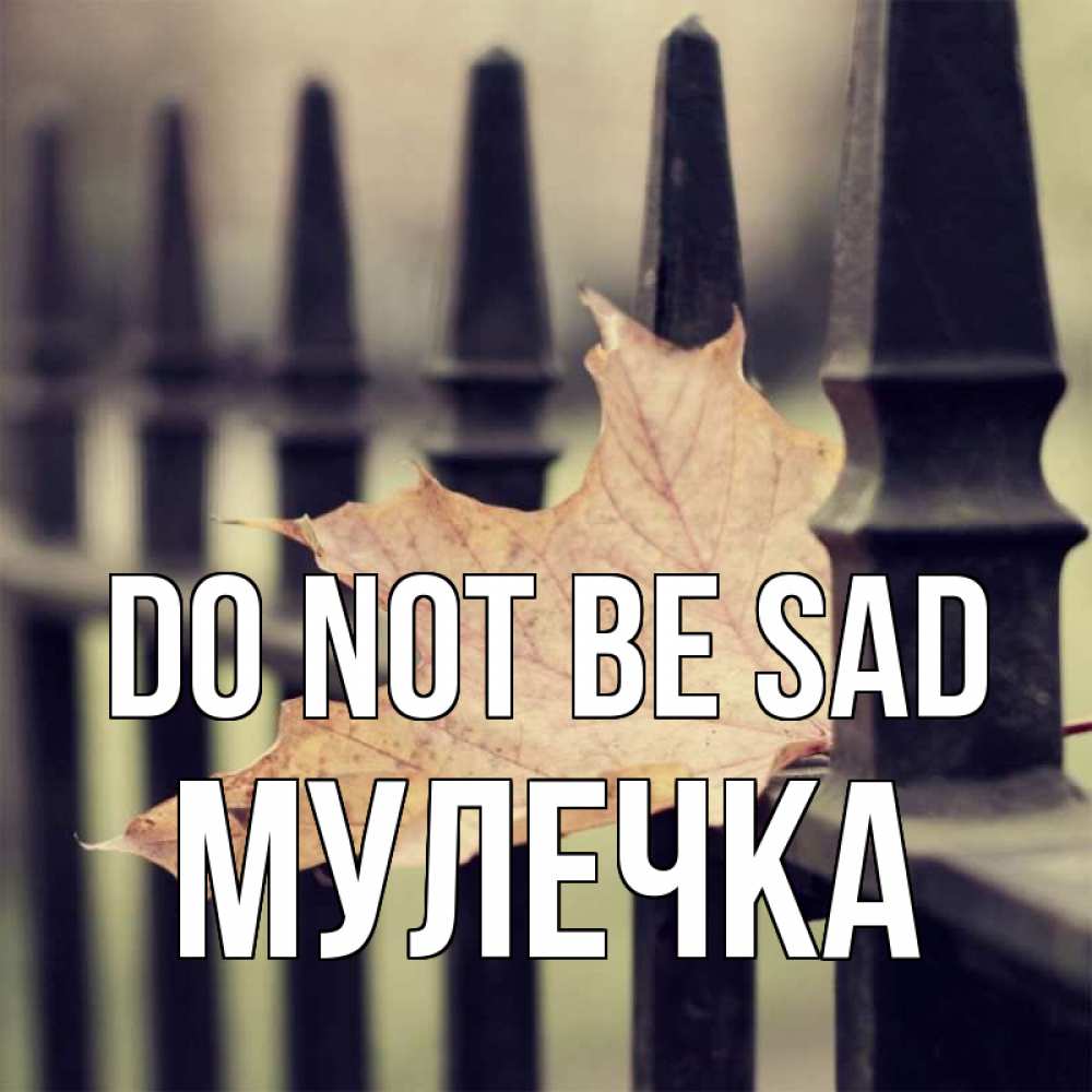 Greetings card с именем, Мулечка Do not be sad лист клена Greetings with text for free download 