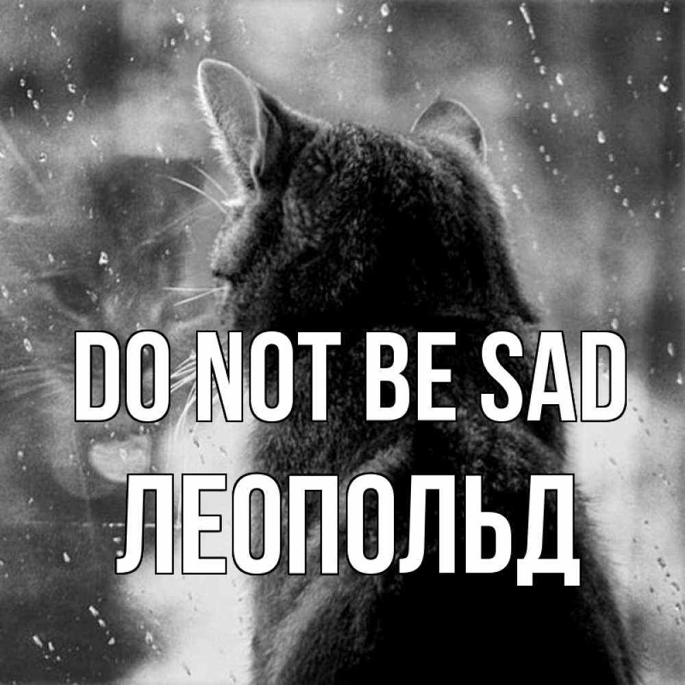 Greetings card с именем, Леопольд Do not be sad отражение кота 1 Greetings with text for free download 
