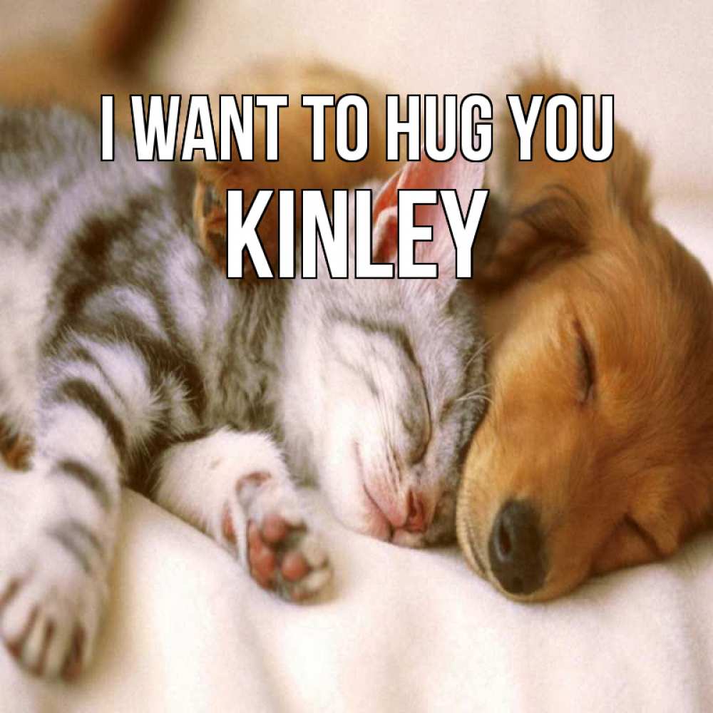 Greetings card с именем, Kinley I want to hug you пес и котенок Greetings with text for free download 